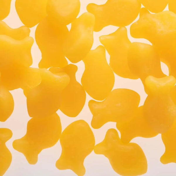 Gummy de Ômega 3 Vegano