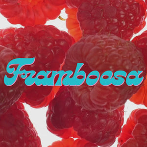 video_framboesa